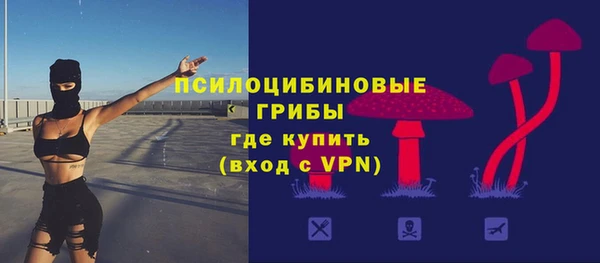 сатива Алзамай